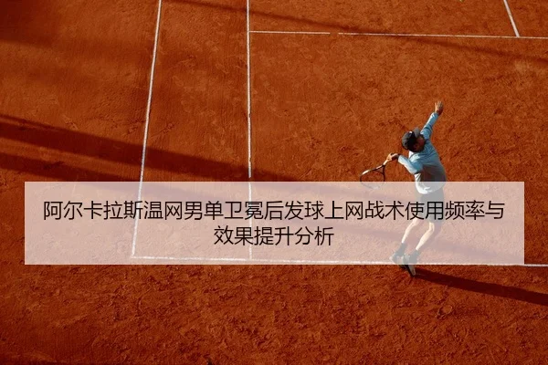 a-er-ka-la-si-wen-wang-nan-dan-wei-mian-hou-fa-qiu-shang-wang-zhan-shu-shi-yong-pin-lv-yu-xiao-guo-ti-sheng-fen-xi-2-829.jpg