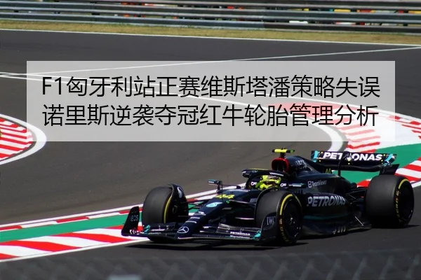 F1匈牙利站正赛维斯塔潘策略失误诺里斯逆袭夺冠红牛轮胎管理分析